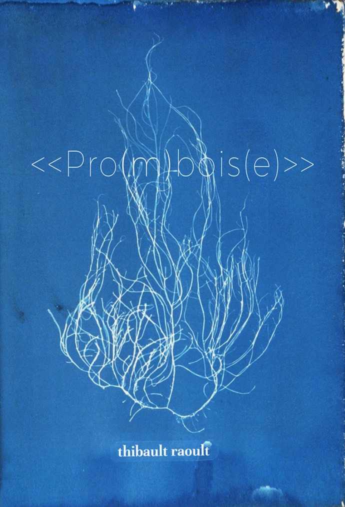 Promboise-cover-draft-New-Scaled-697x1024