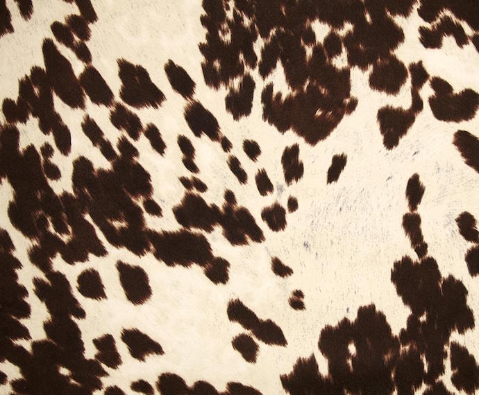 cow-print